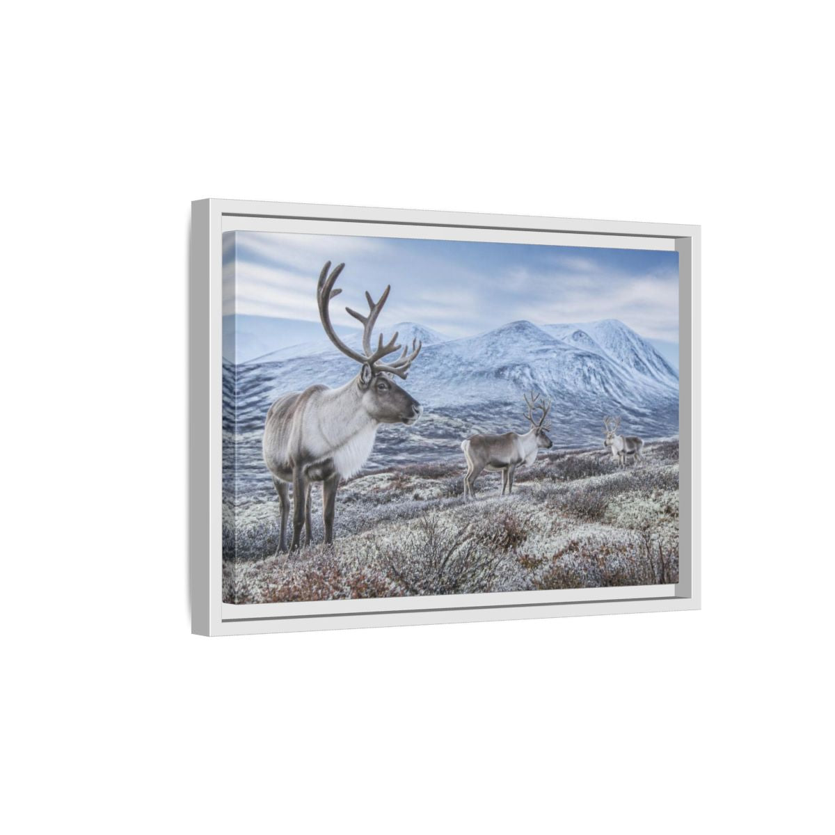 Side Mockup 4. Nordic Reindeer In Tundra shown as framed canvas print
