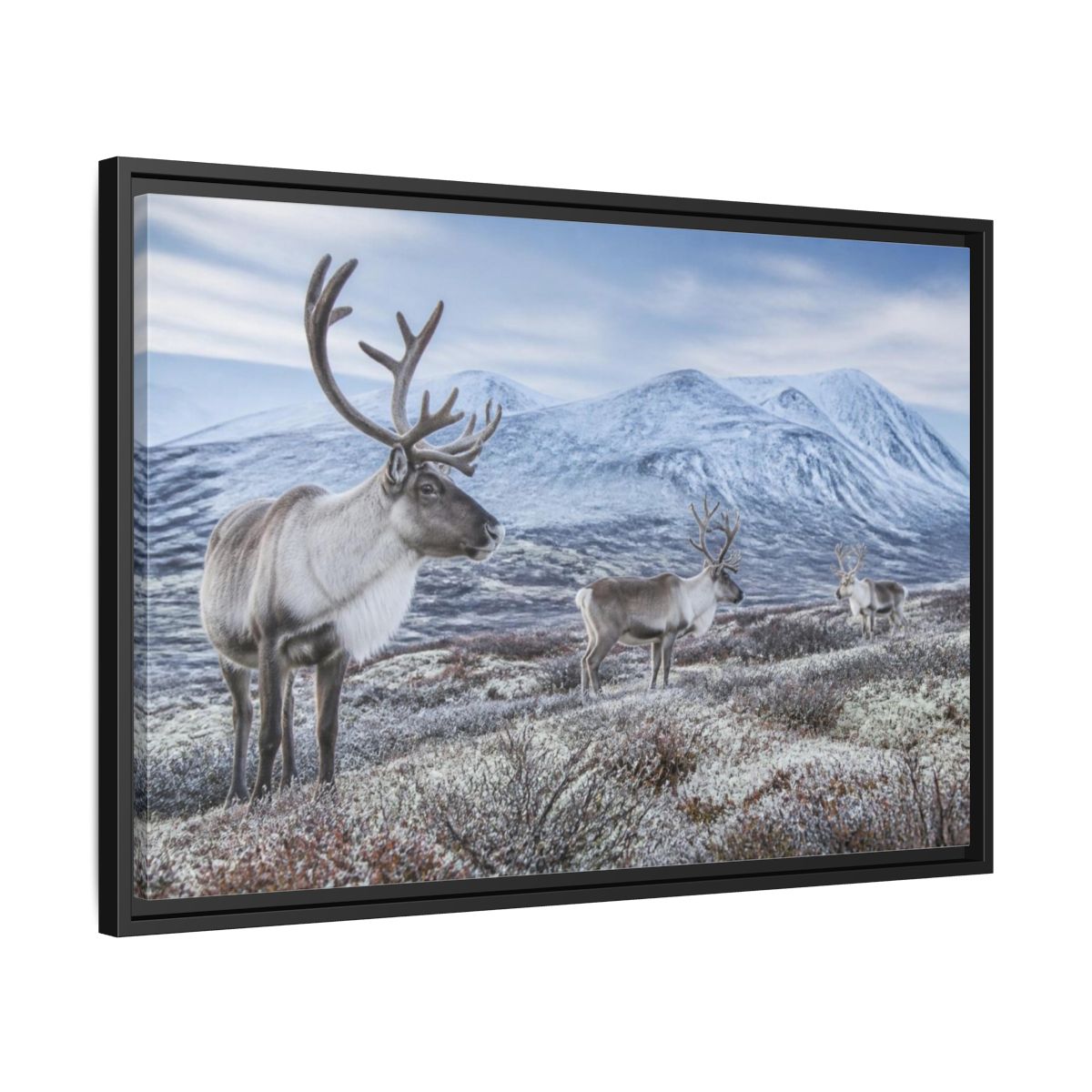 Side Mockup 14. Nordic Reindeer In Tundra shown as framed canvas print