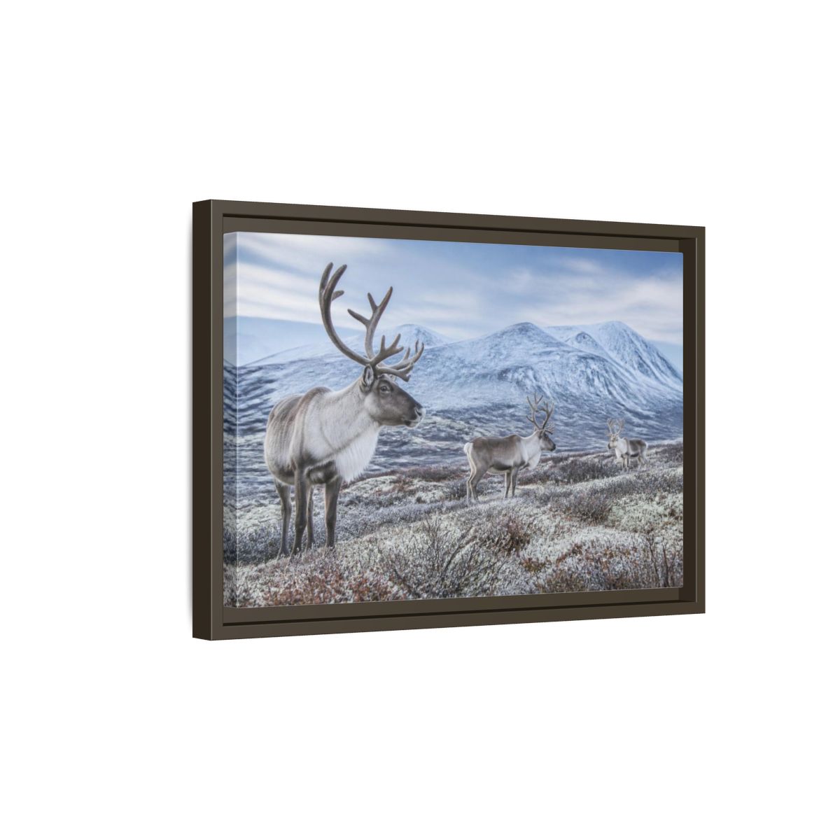 Side Mockup 5. Nordic Reindeer In Tundra shown as framed canvas print