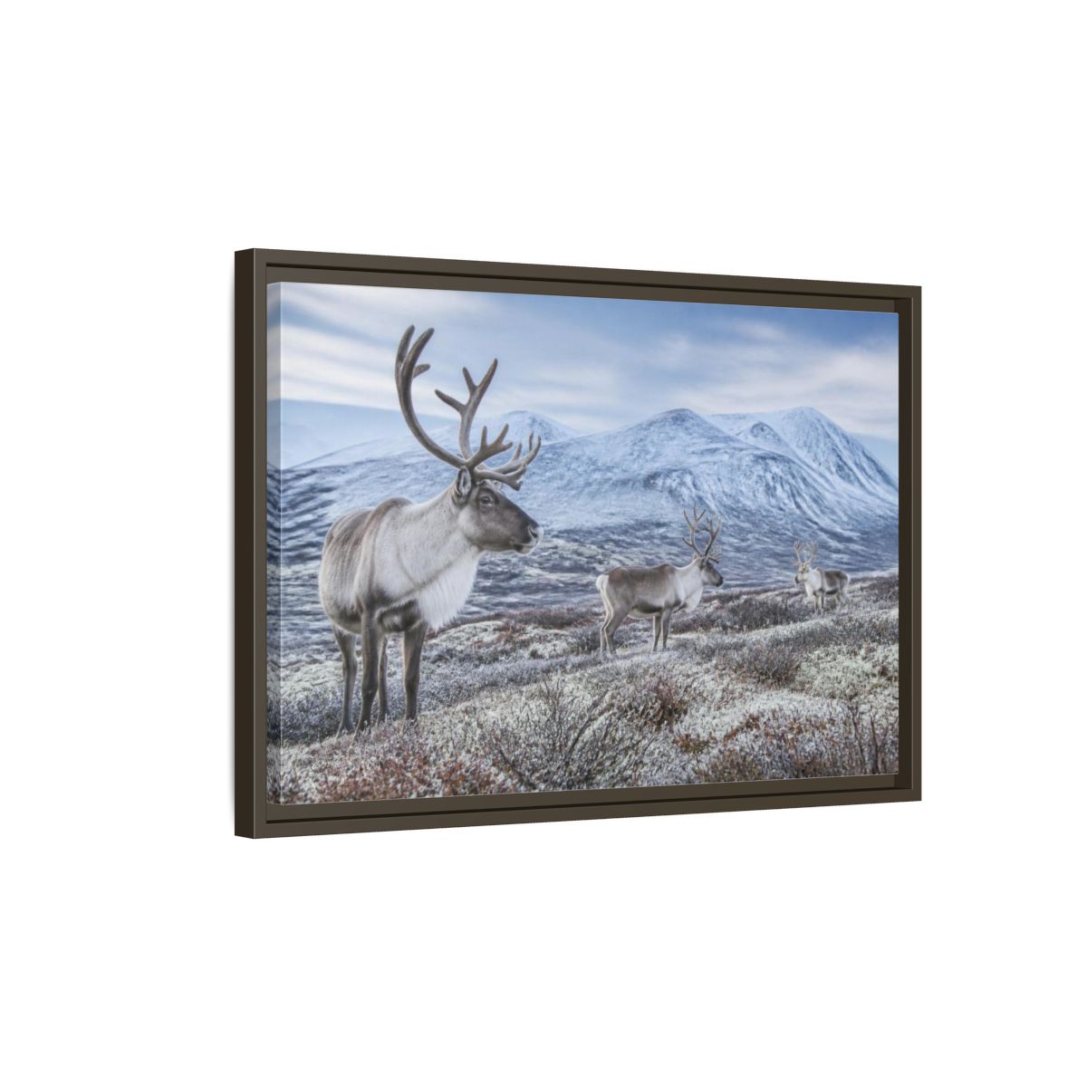 Side Mockup 2. Nordic Reindeer In Tundra shown as framed canvas print