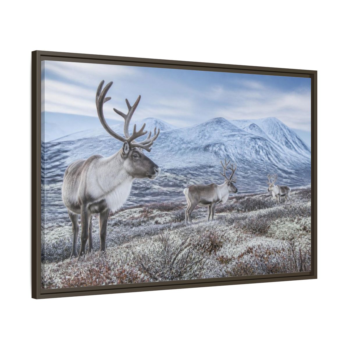 Main Mockup. Nordic Reindeer In Tundra shown as framed canvas print