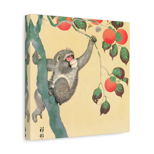 Ohara Koson Monkey Persimmon Tree - Square Canvas Wall Art Print