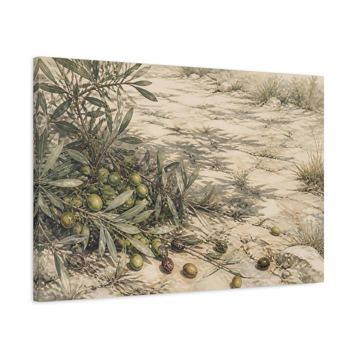 Side Mockup 2. Olive Branches On Stone shown as canvas print