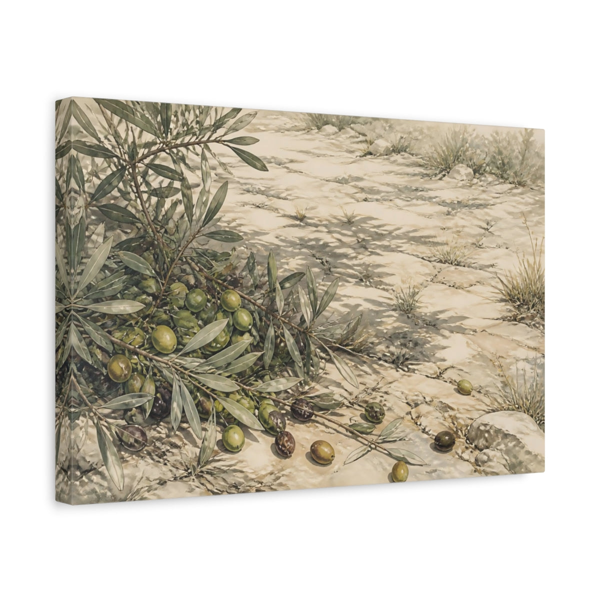 Side Mockup 4. Olive Branches On Stone shown as canvas print