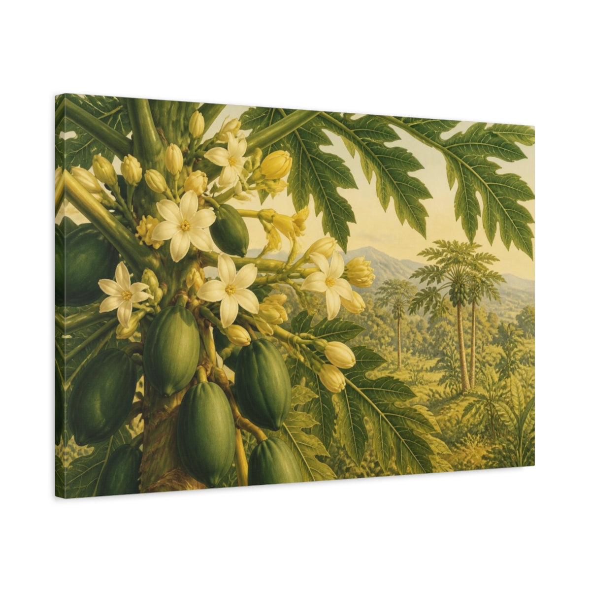 Side Mockup 2. Papaya Blossoms And Fruit shown as canvas print