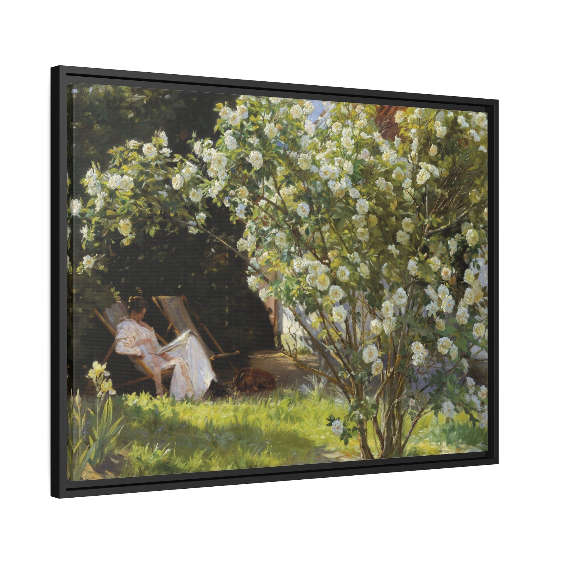 Peder Severin Kroyer Roses - Framed Canvas Wall Art Print in Black Frame