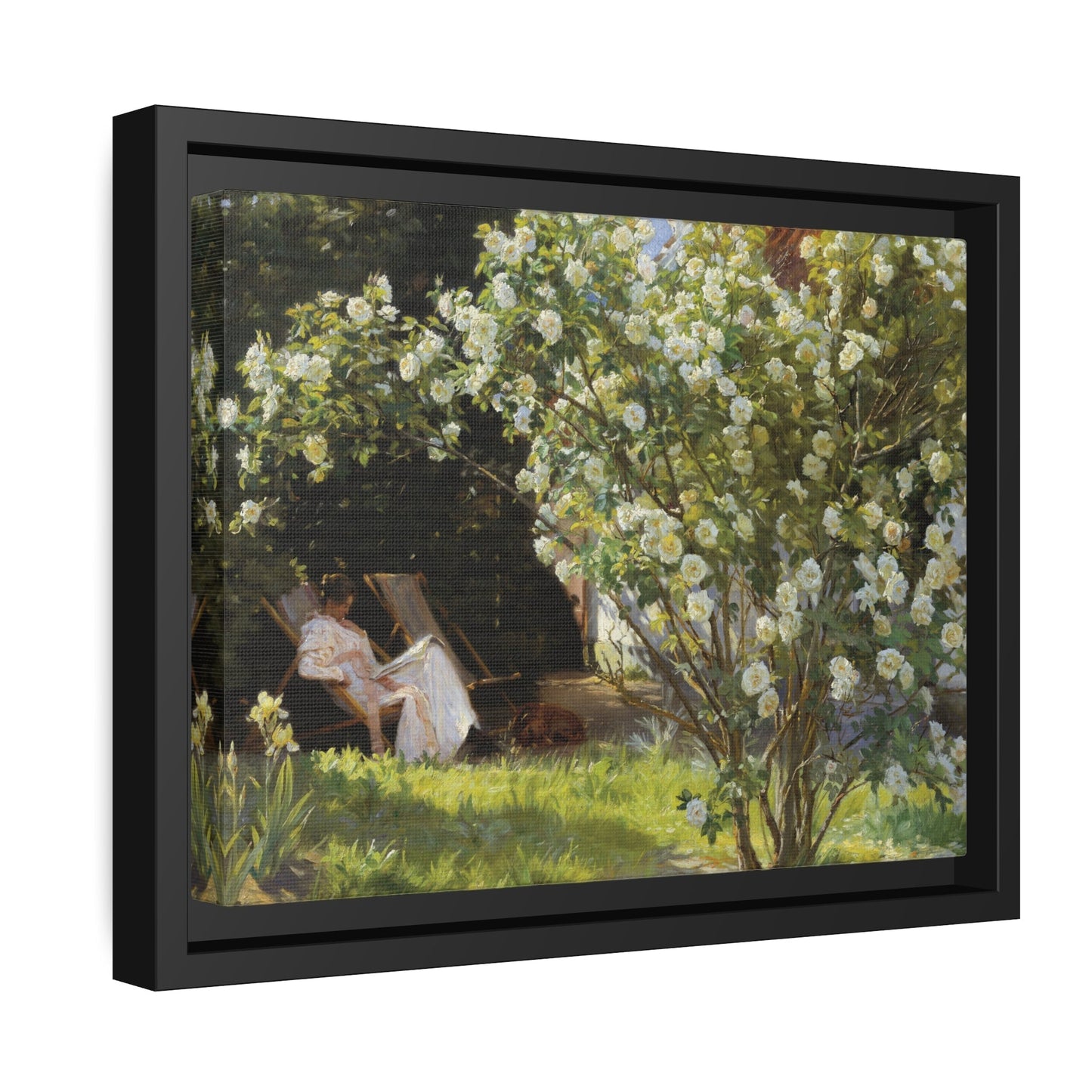 Peder Severin Kroyer Roses - Framed Canvas Wall Art Print in Black Frame