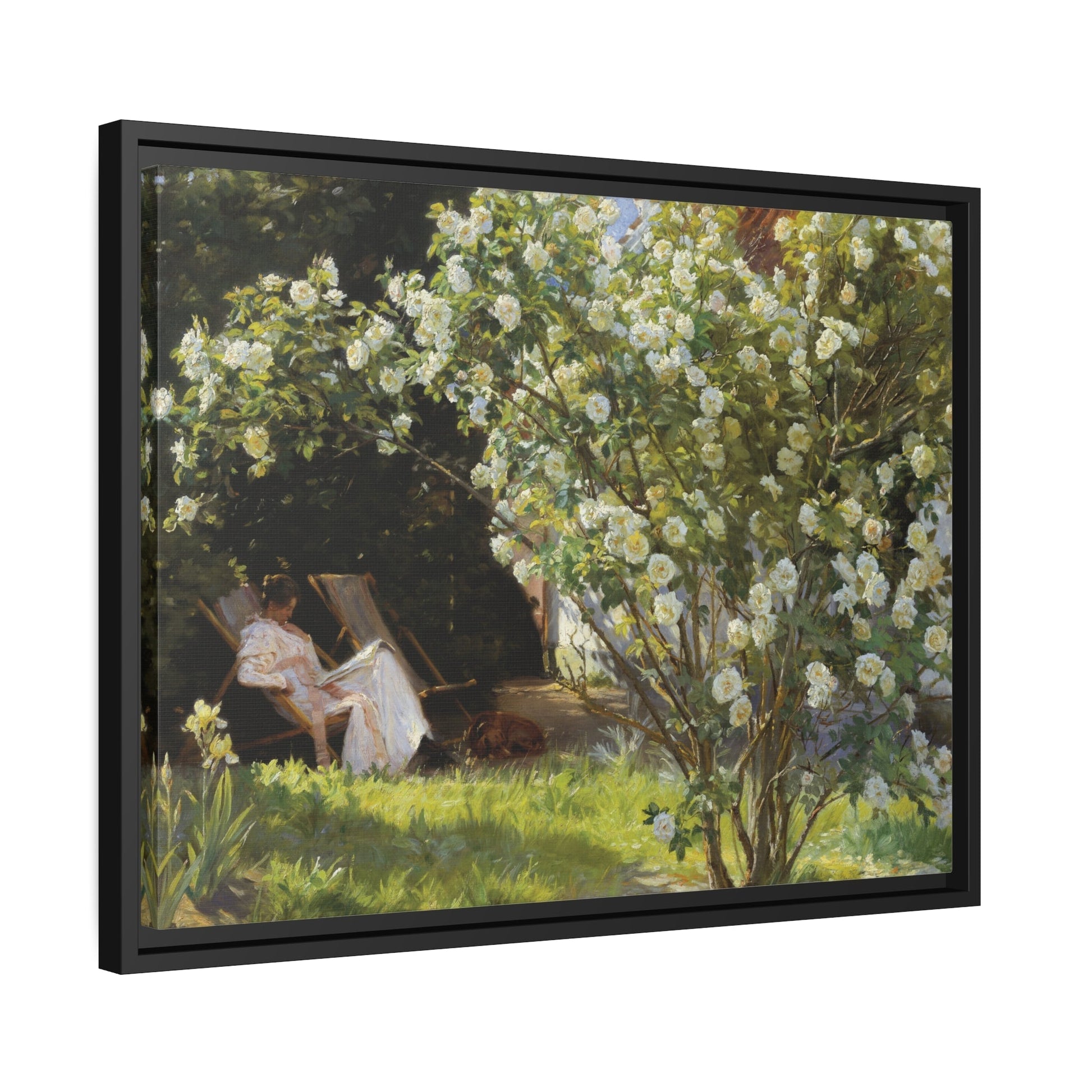 Peder Severin Kroyer Roses - Framed Canvas Wall Art Print in Black Frame