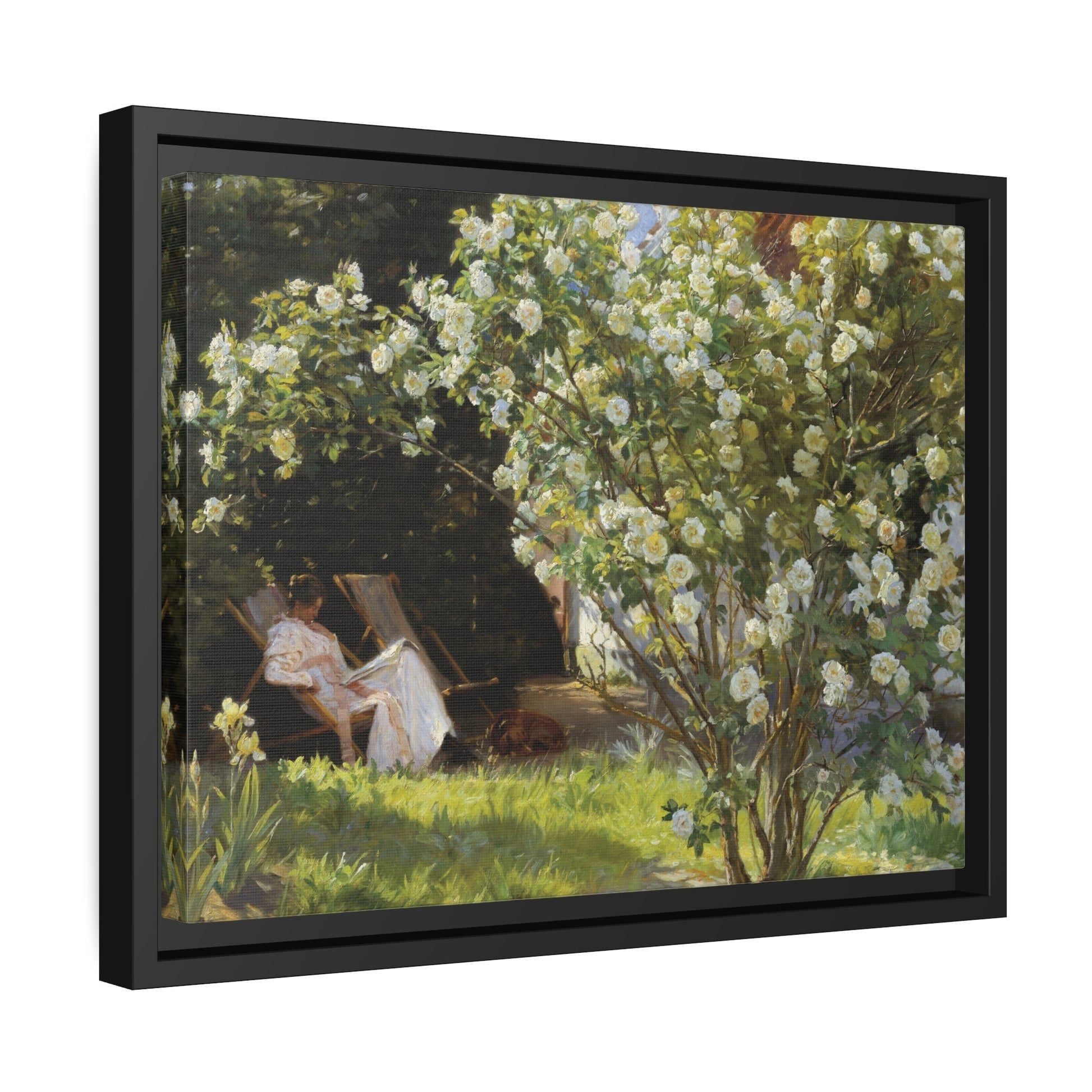 Peder Severin Kroyer Roses - Framed Canvas Wall Art Print in Black Frame