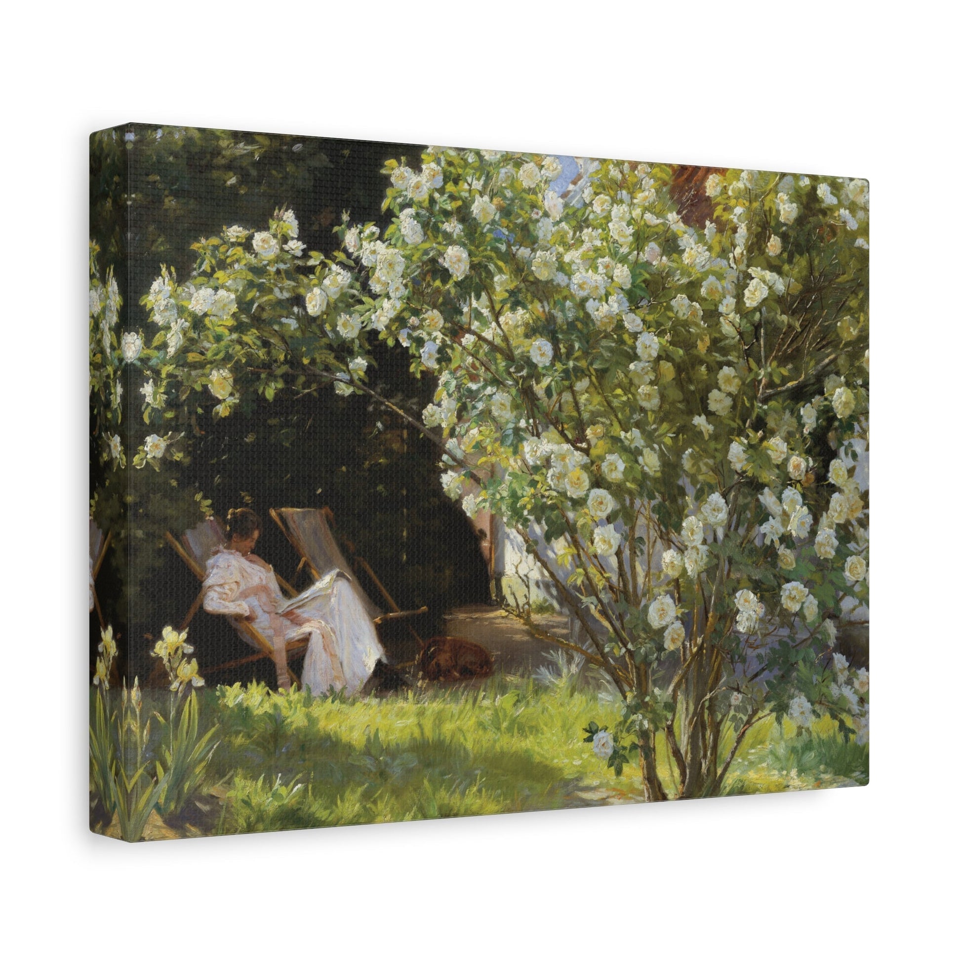 Peder Severin PS Kroyer Roses - Colorful Landscape Canvas Wall Art Print