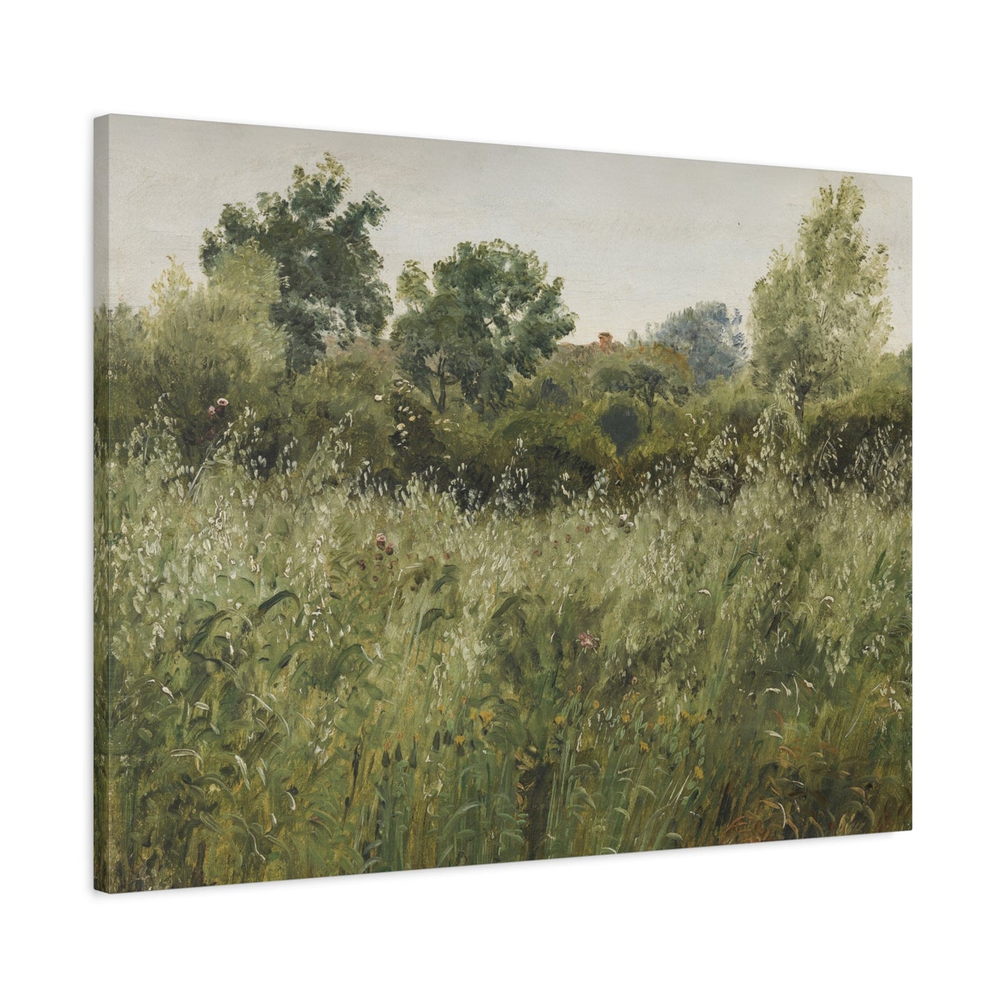 Peter Christian Skovgaard Field of Oats - Canvas Wall Art Reproduction