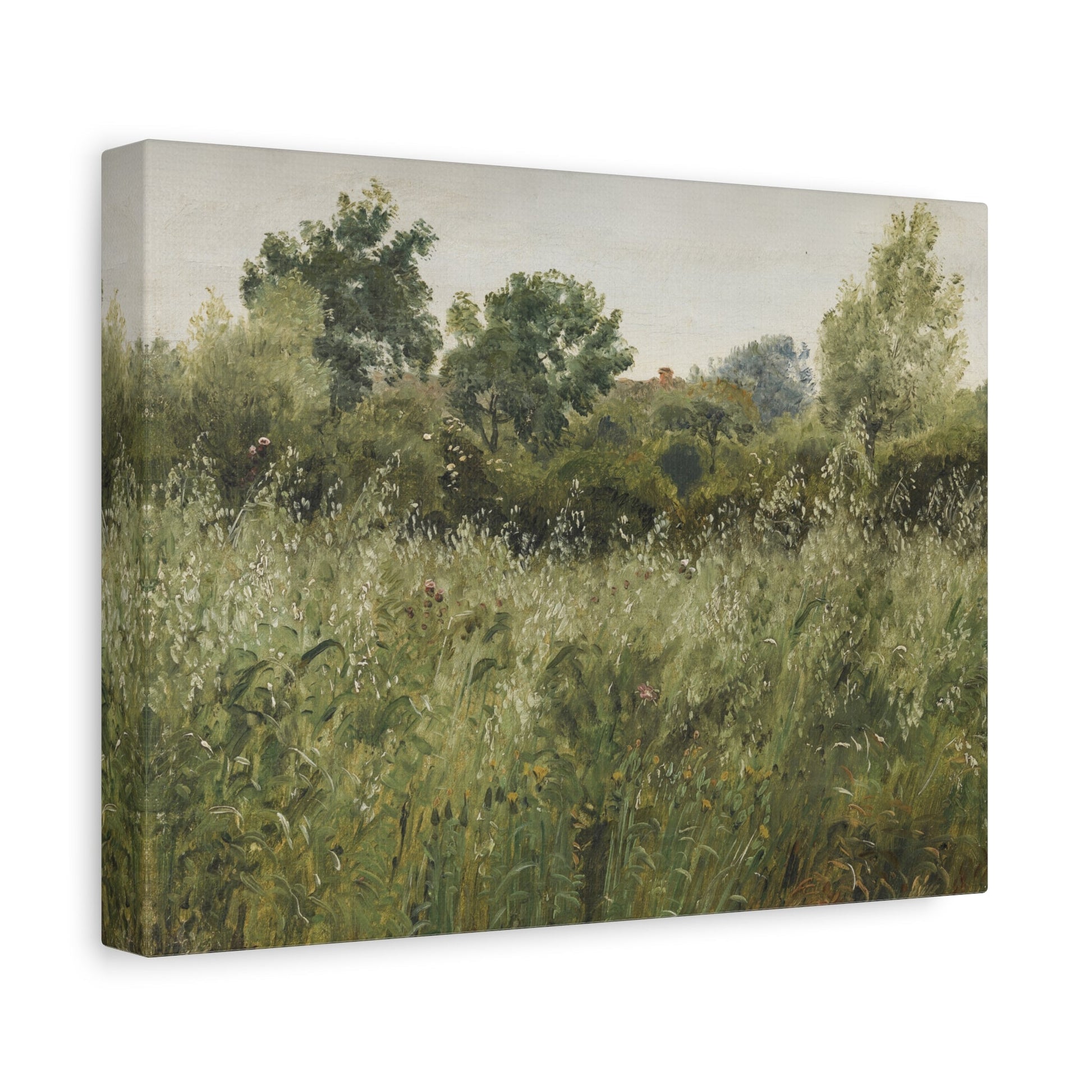 Peter Christian Skovgaard Field of Oats - Canvas Wall Art Reproduction