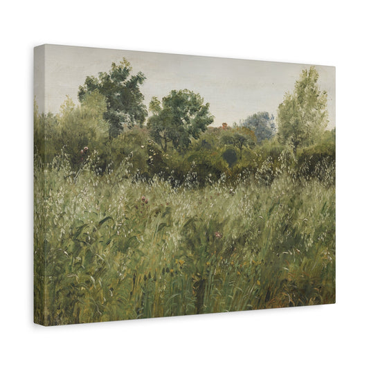 Peter Christian Skovgaard Field of Oats - Canvas Wall Art Reproduction