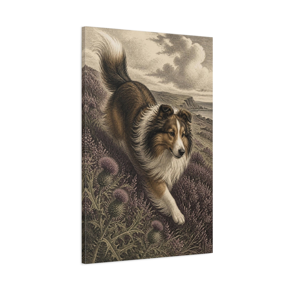 Main Mockup. Pets Shetland Sheepdog On Heather shown as canvas print