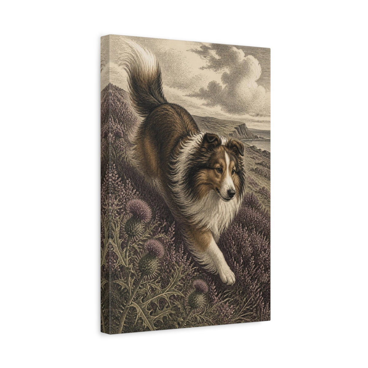 Side Mockup 4. Pets Shetland Sheepdog On Heather shown as canvas print