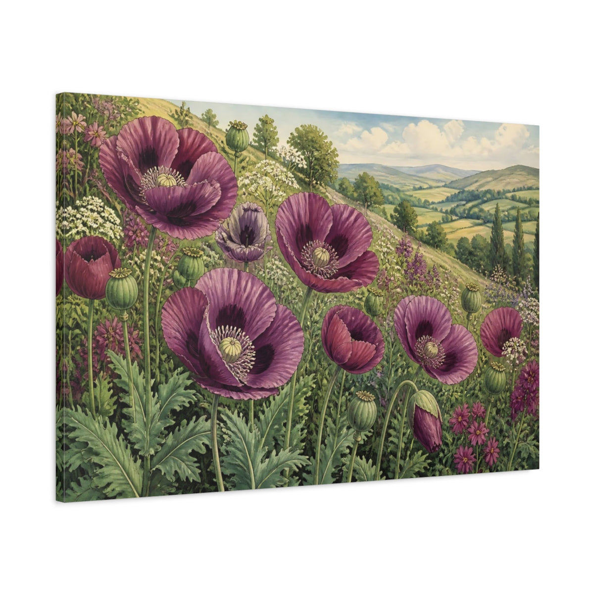 Main Mockup. Plum Poppy Flowers shown as canvas print