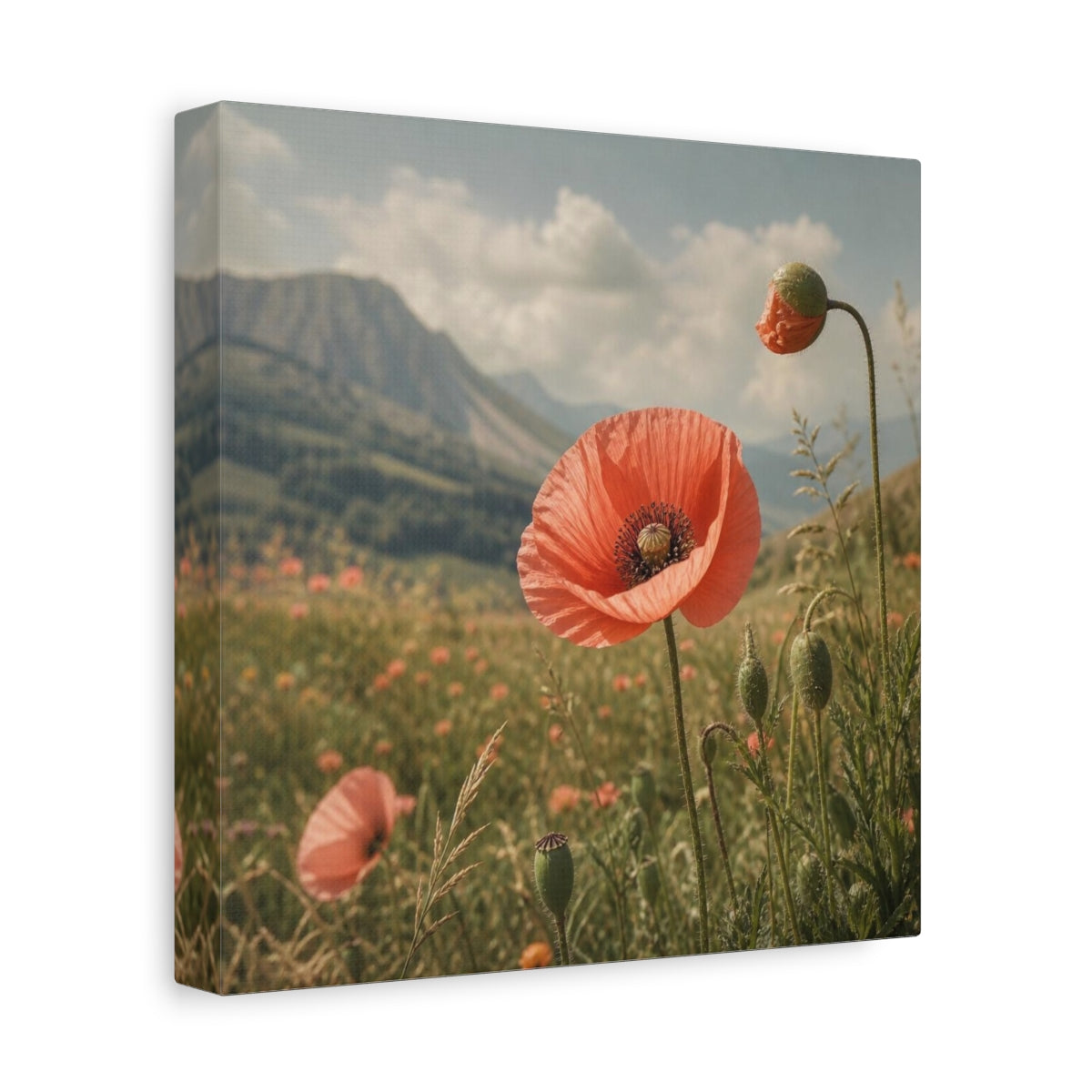 Side Mockup 9. Poppy In Mountain Meadow shown as canvas print