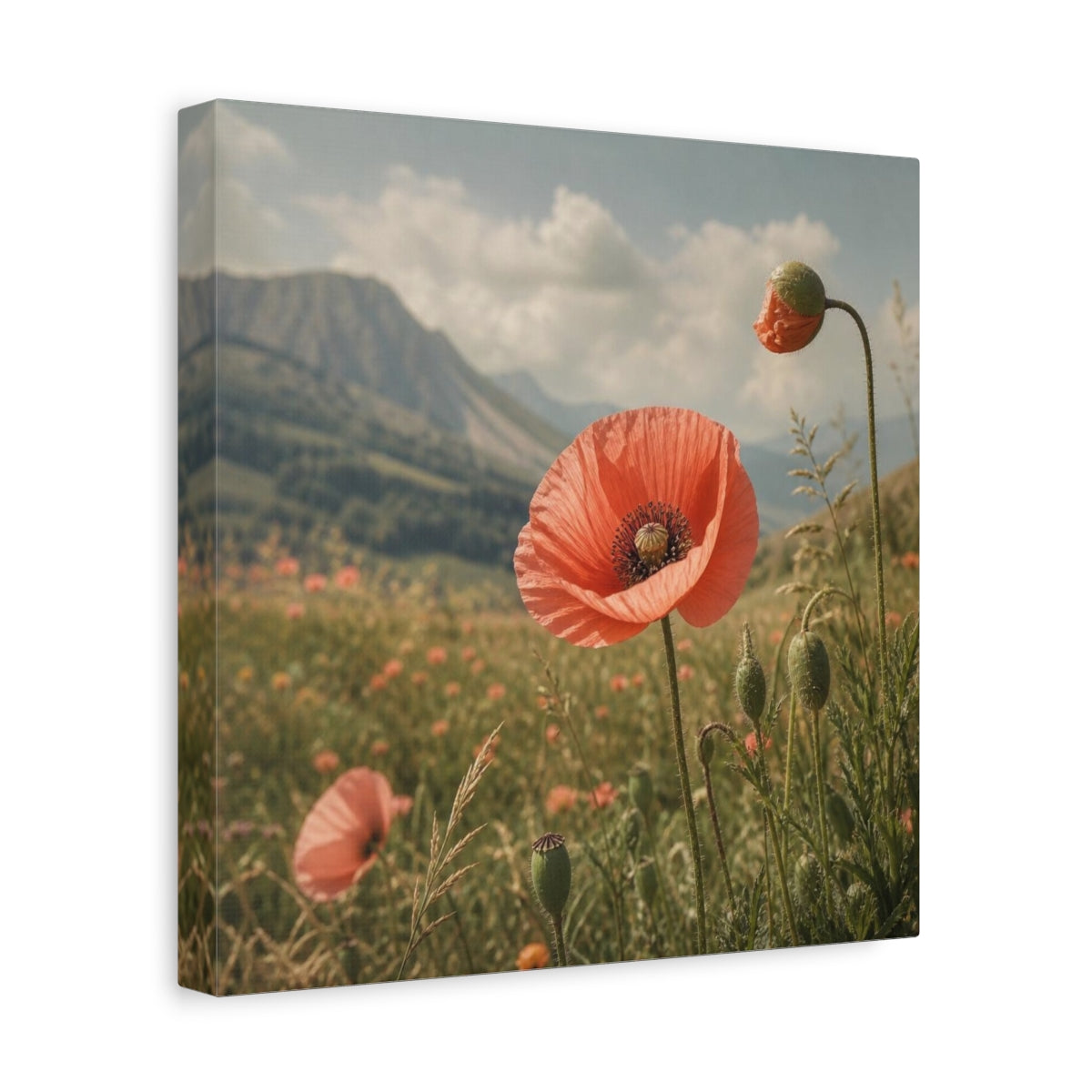 Side Mockup 8. Poppy In Mountain Meadow shown as canvas print
