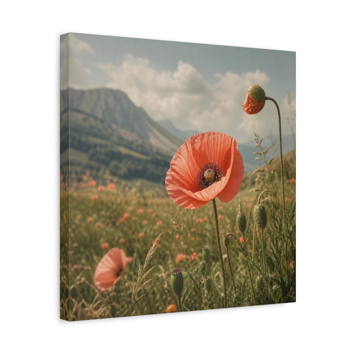 Side Mockup 6. Poppy In Mountain Meadow shown as canvas print