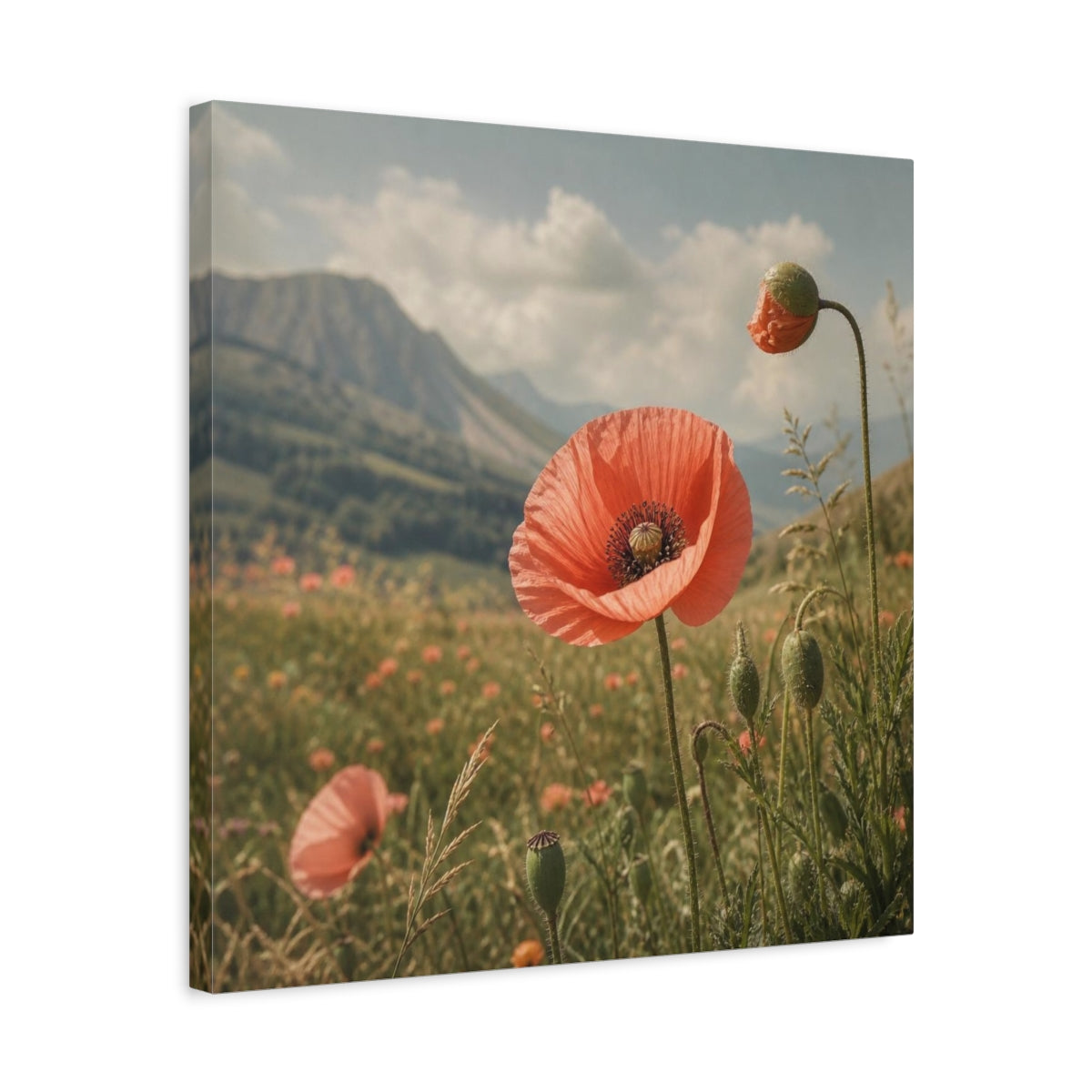 Side Mockup 5. Poppy In Mountain Meadow shown as canvas print