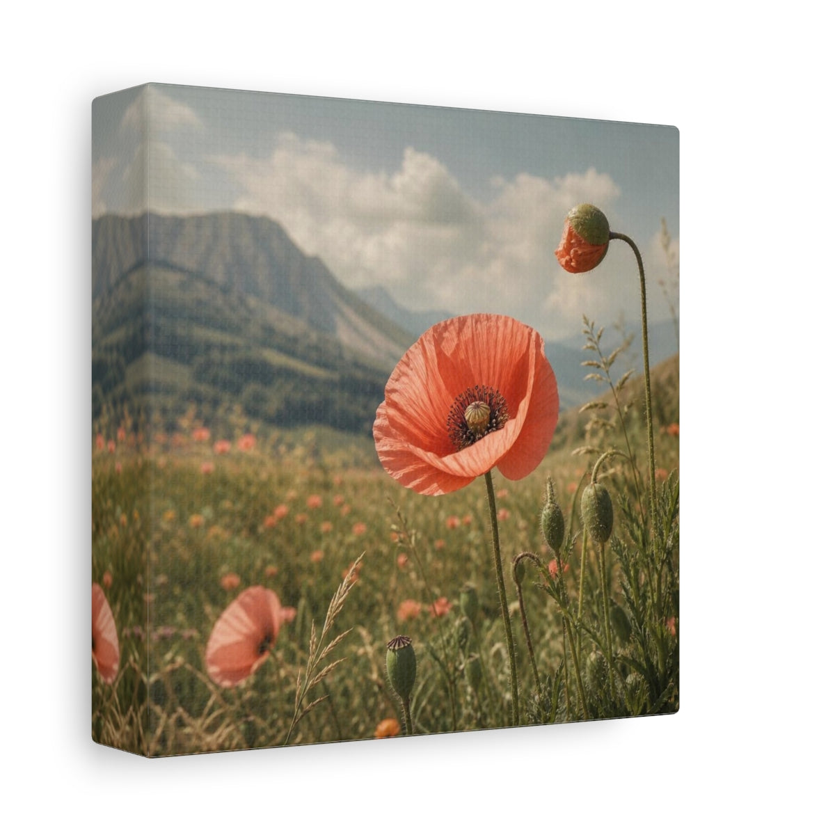 Side Mockup 2. Poppy In Mountain Meadow shown as canvas print