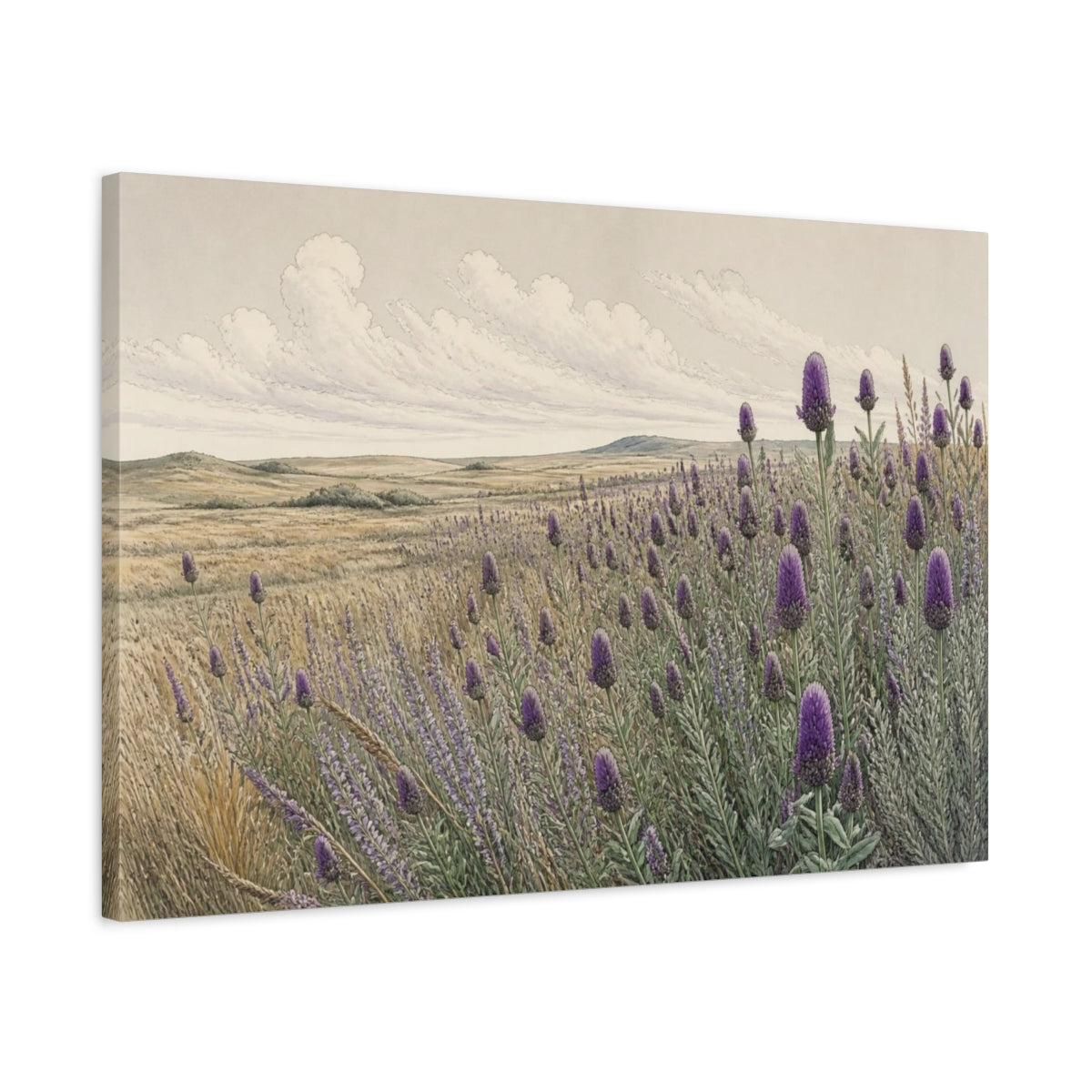 Side Mockup 2. Prairie Clover Nature Meadow shown as canvas print
