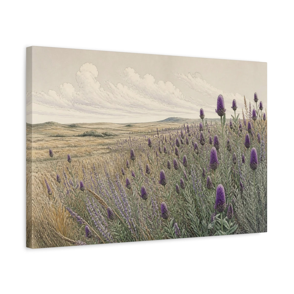 Side Mockup 3. Prairie Clover Nature Meadow shown as canvas print