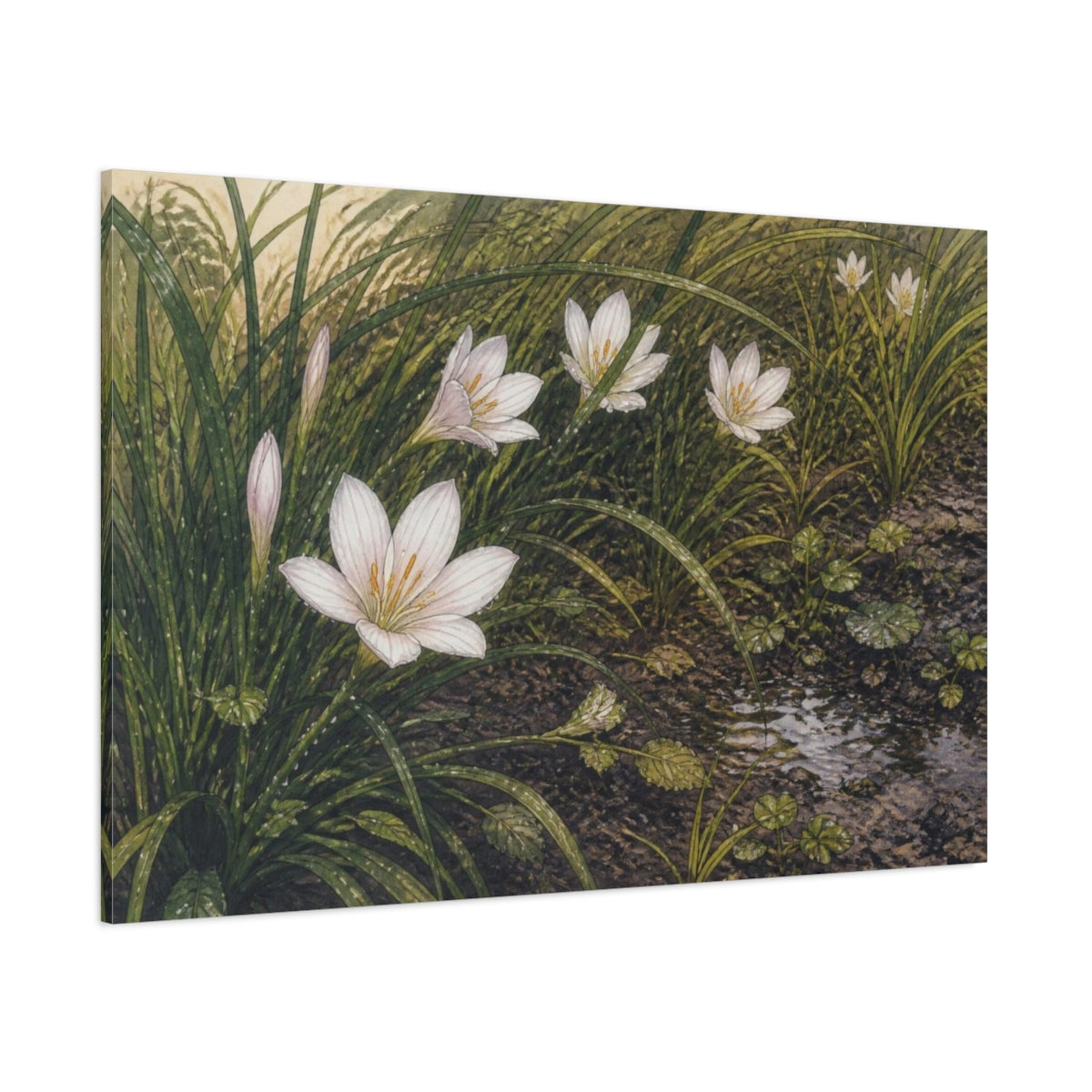 Side Mockup 1. Rain Lilies In Grass shown as canvas print