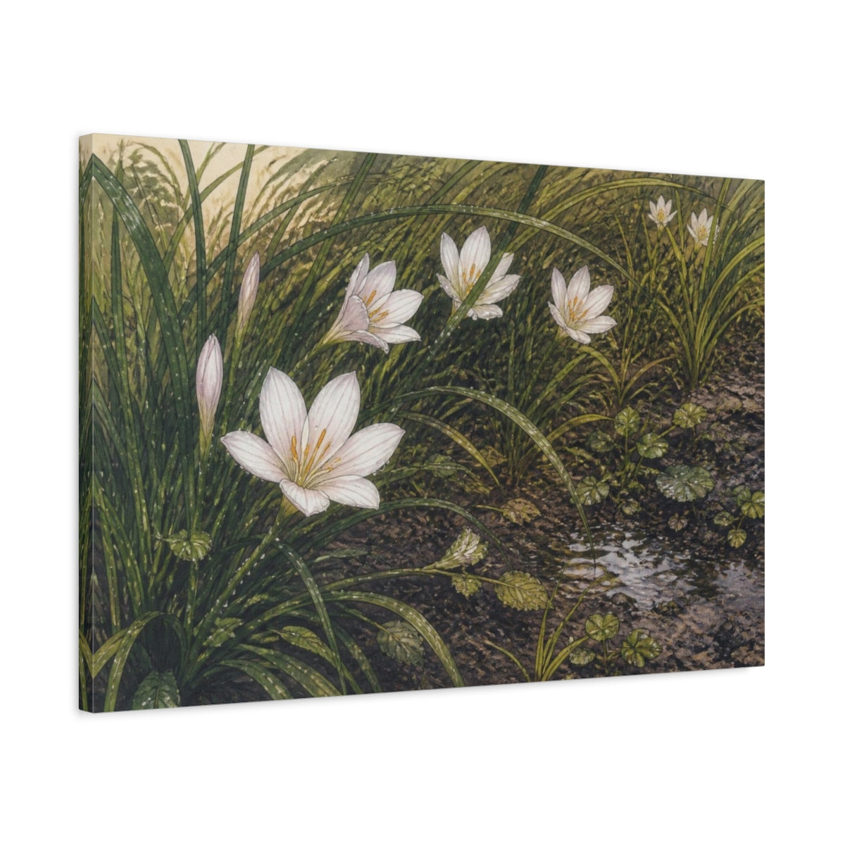 Side Mockup 2. Rain Lilies In Grass shown as canvas print