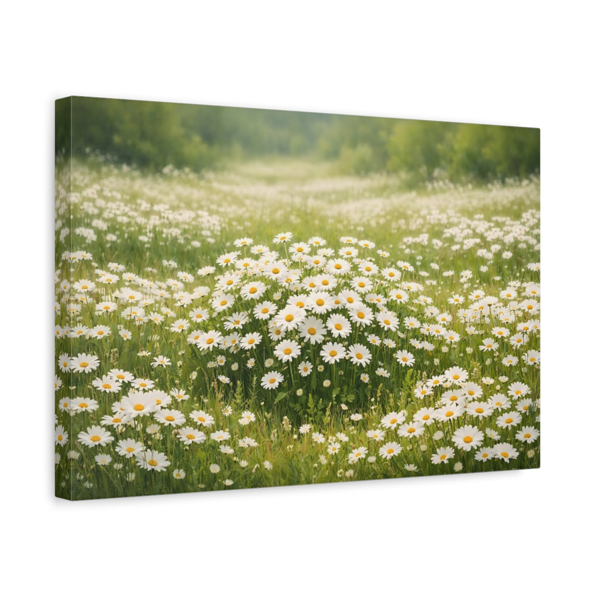 Side Mockup 4. Floral Daisies White Daisies shown as stretched canvas wall art