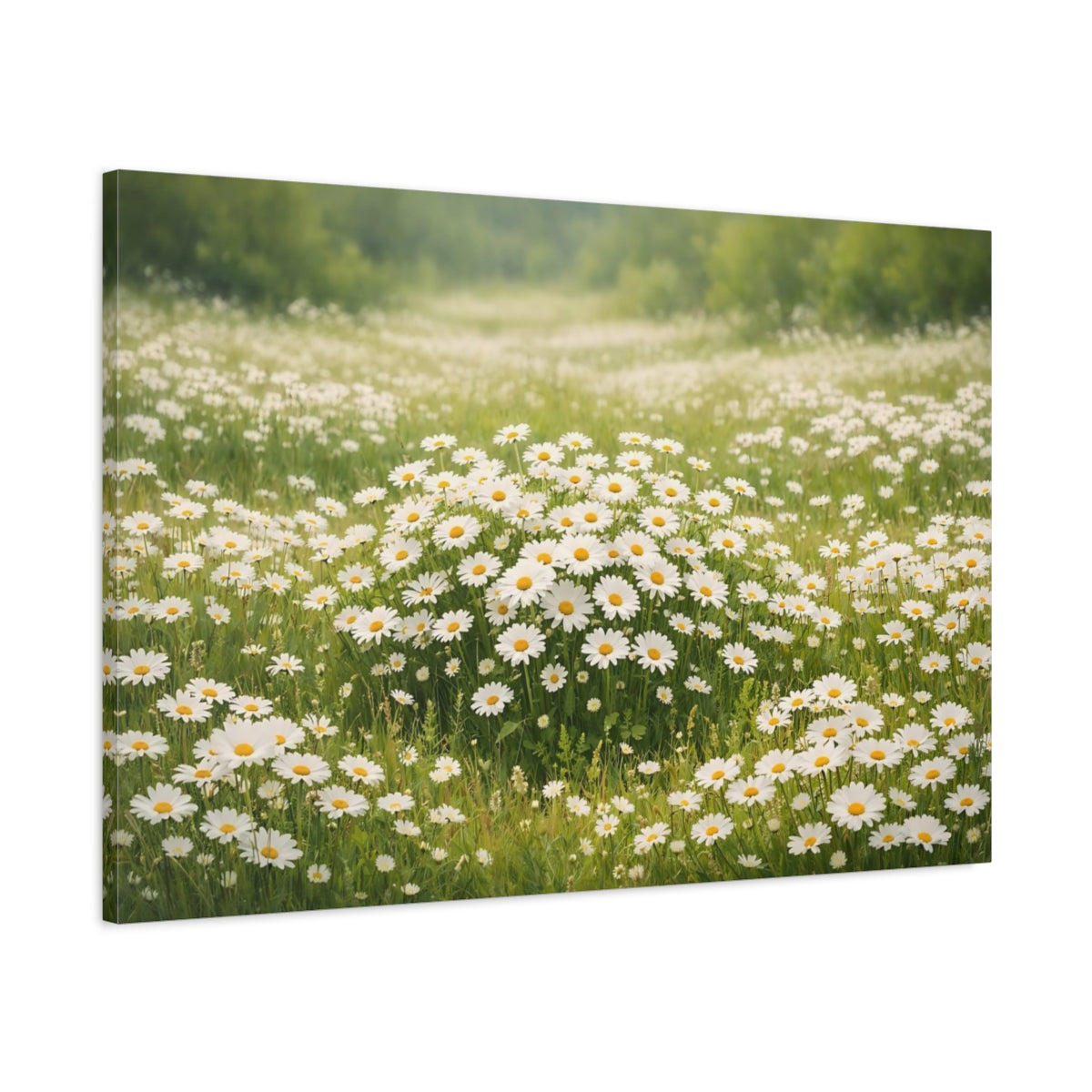 Side Mockup 1. Floral Daisies White Daisies shown as stretched canvas wall art