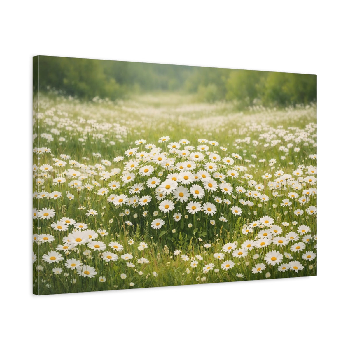 Side Mockup 2. Floral Daisies White Daisies shown as stretched canvas wall art