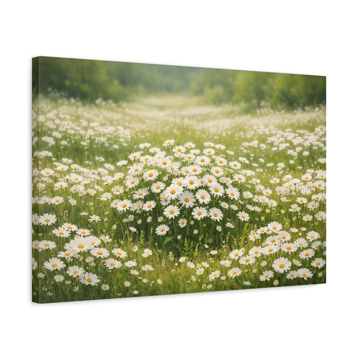 Side Mockup 3. Floral Daisies White Daisies shown as stretched canvas wall art