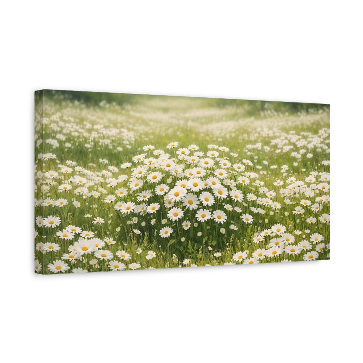 Side Mockup 3. Nature Daisies White Daisies Field shown as stretched canvas wall art