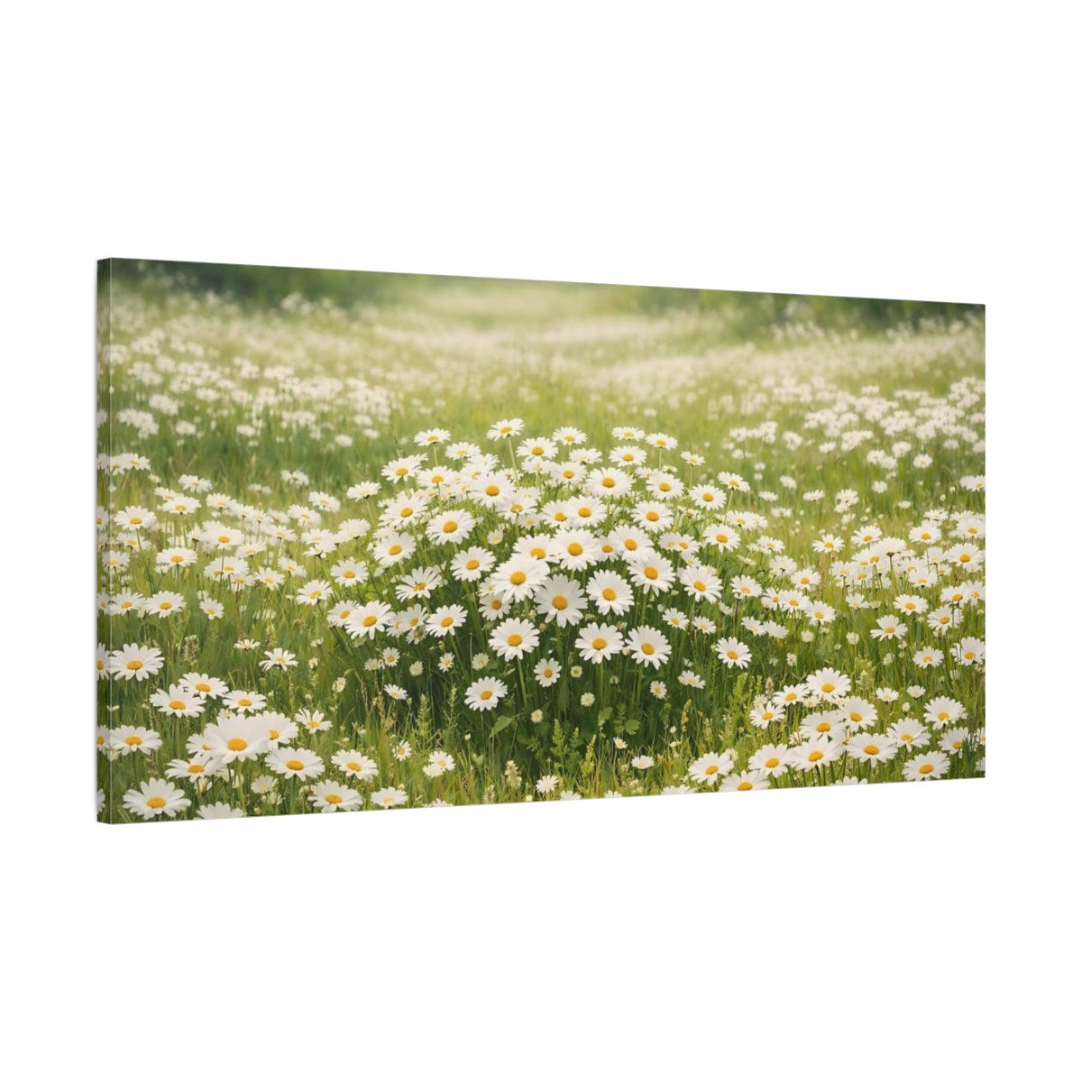 Side Mockup 1. Nature Daisies White Daisies Field shown as stretched canvas wall art
