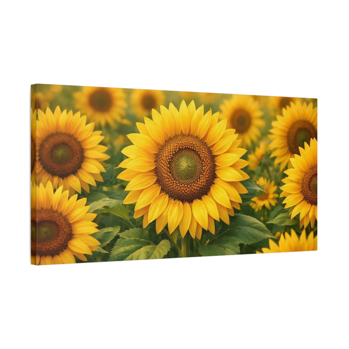 Side Mockup 2. Nature Sunflower Field Yellow Sunflower shown as stretched canvas wall art