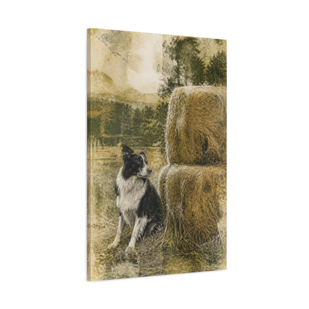 Main Mockup. Rustic Border Collie Haystack shown as canvas print