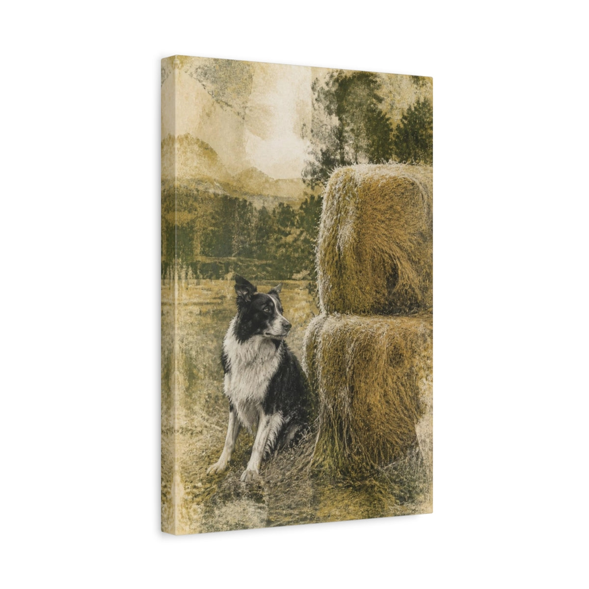 Side Mockup 4. Rustic Border Collie Haystack shown as canvas print