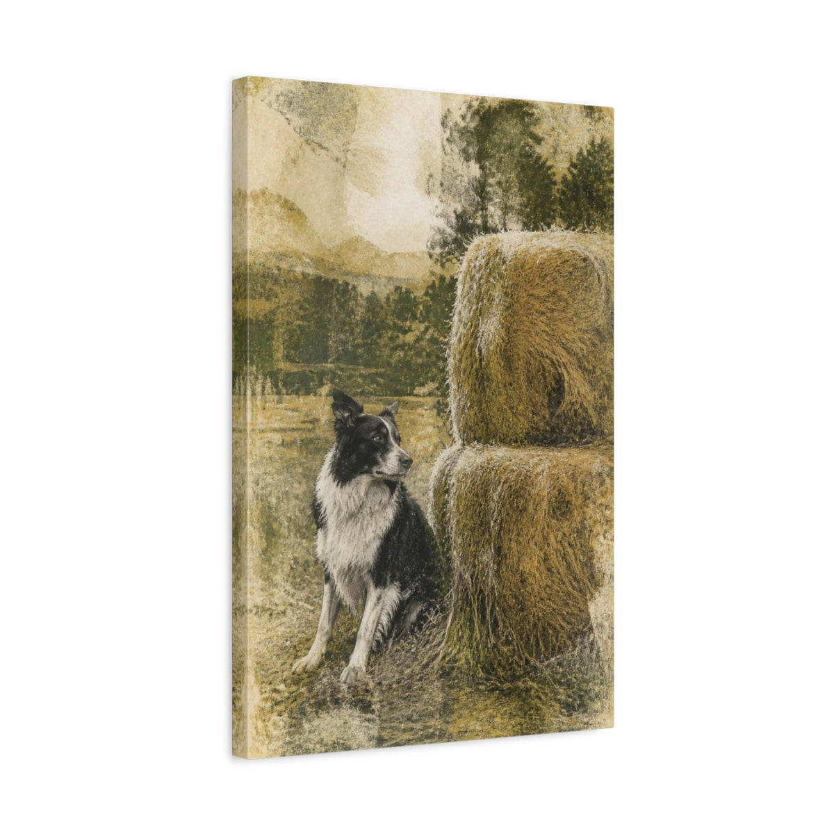 Side Mockup 3. Rustic Border Collie Haystack shown as canvas print
