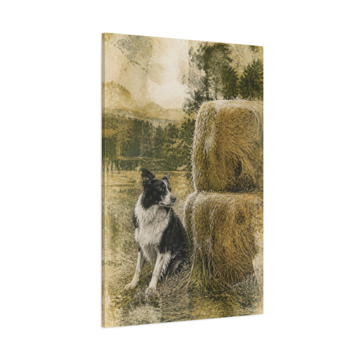 Side Mockup 1. Rustic Border Collie Haystack shown as canvas print