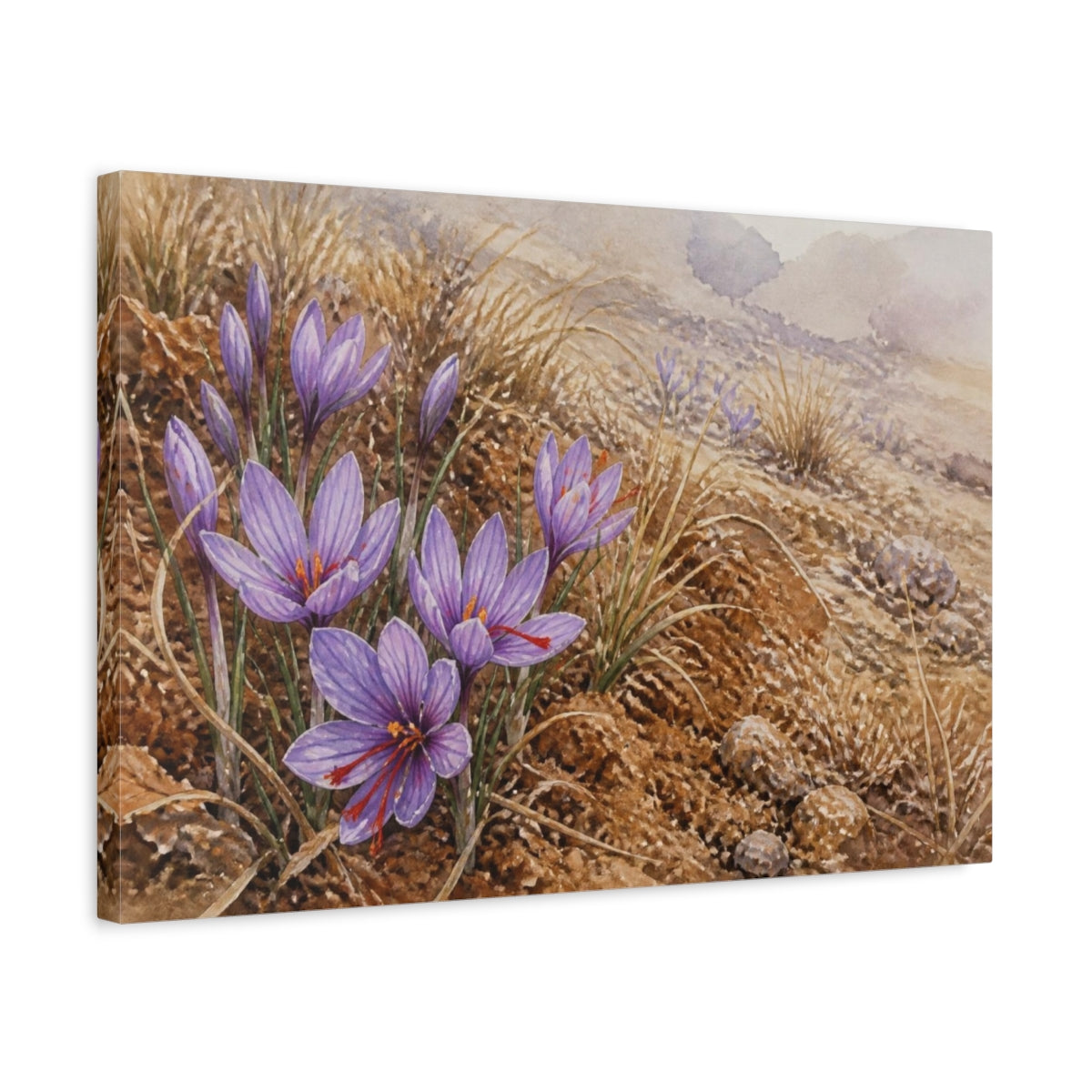 Side Mockup 3. Saffron Crocus In Russet Soil shown as canvas print
