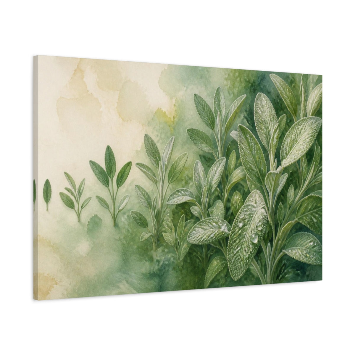 Main Mockup. Sage Nature Study shown as canvas print