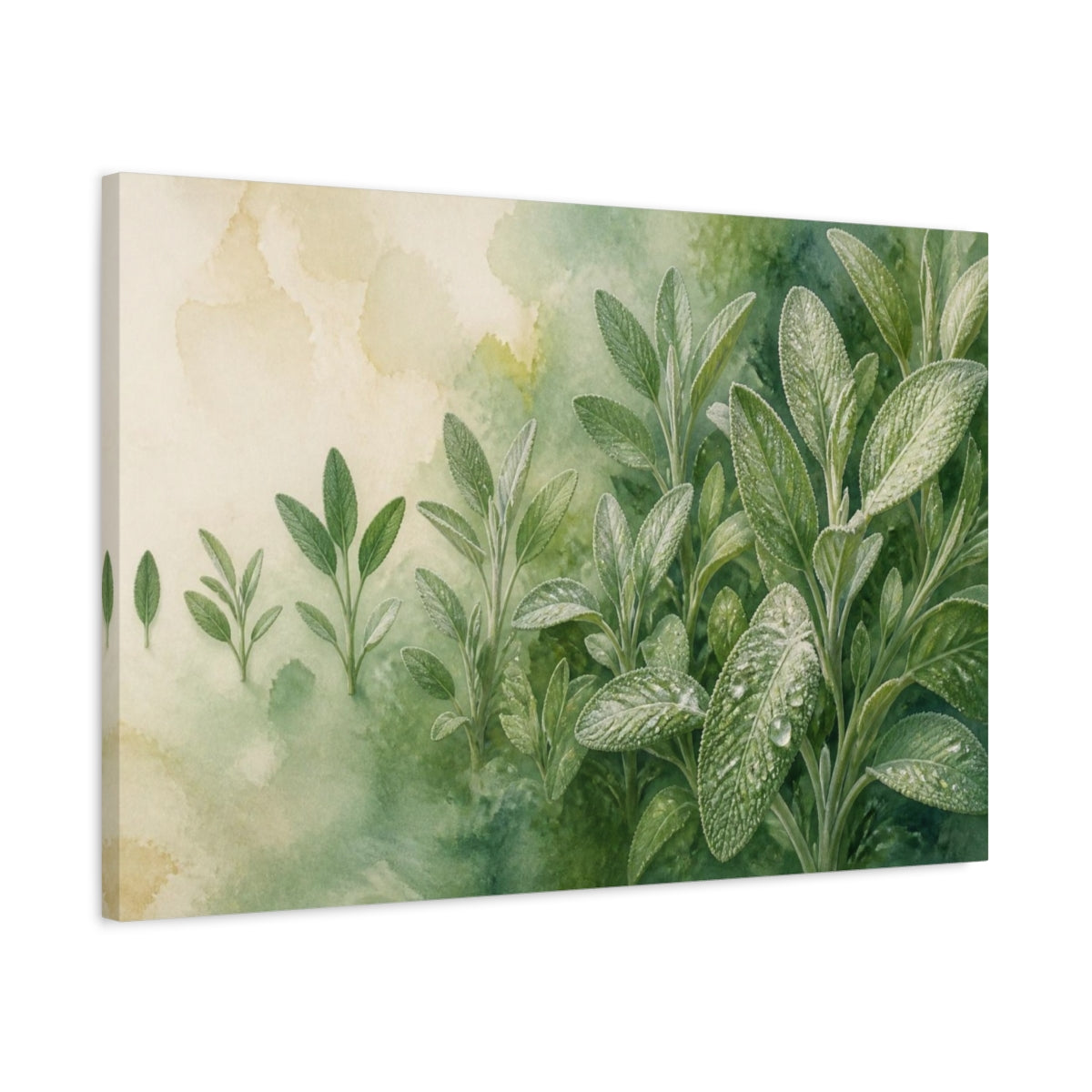Side Mockup 2. Sage Nature Study shown as canvas print