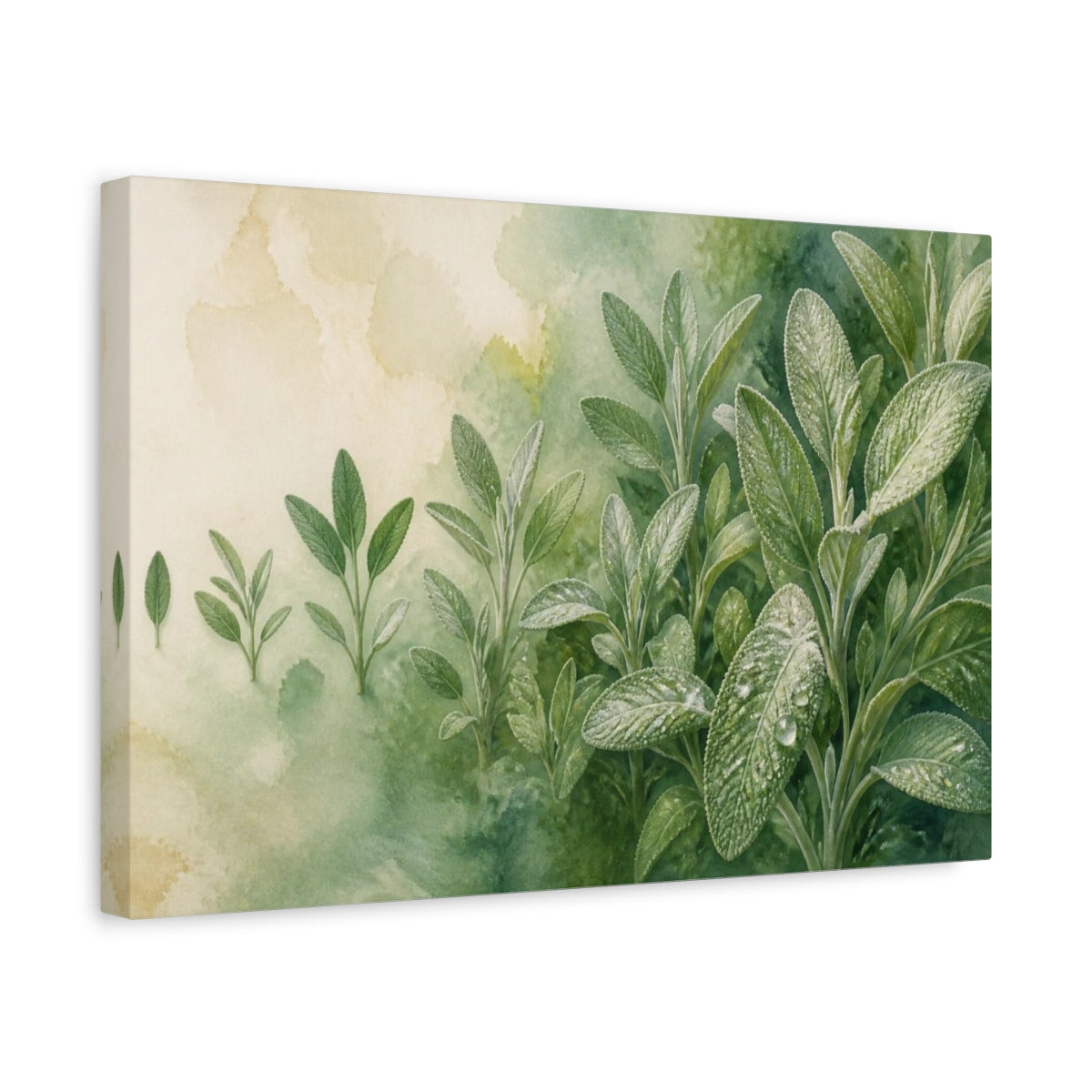 Side Mockup 4. Sage Nature Study shown as canvas print