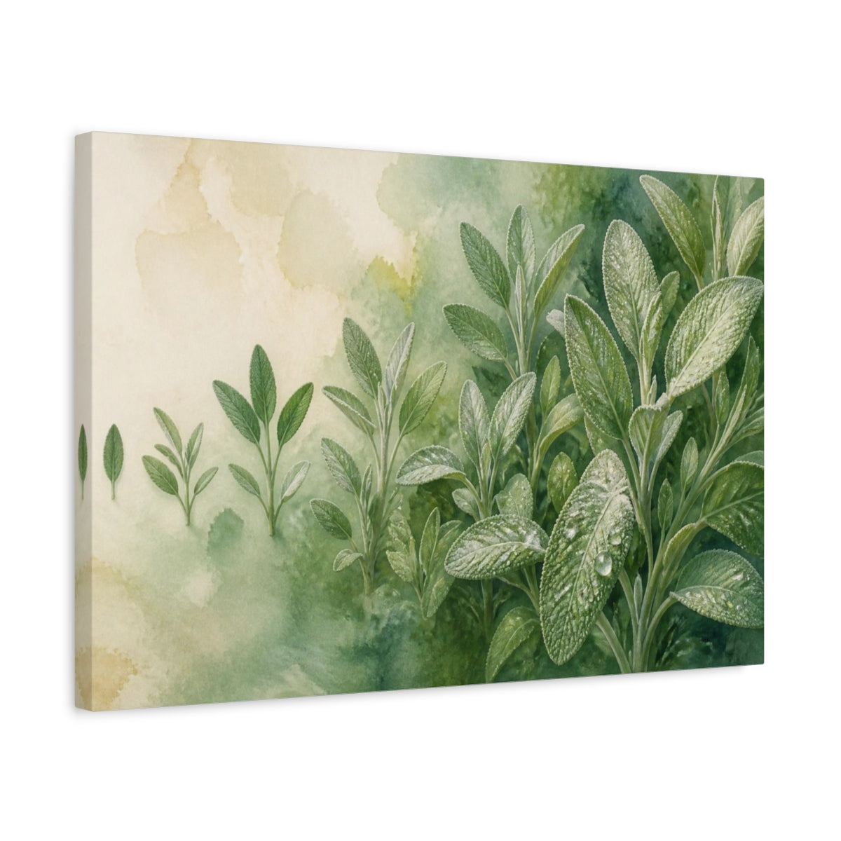 Side Mockup 3. Sage Nature Study shown as canvas print