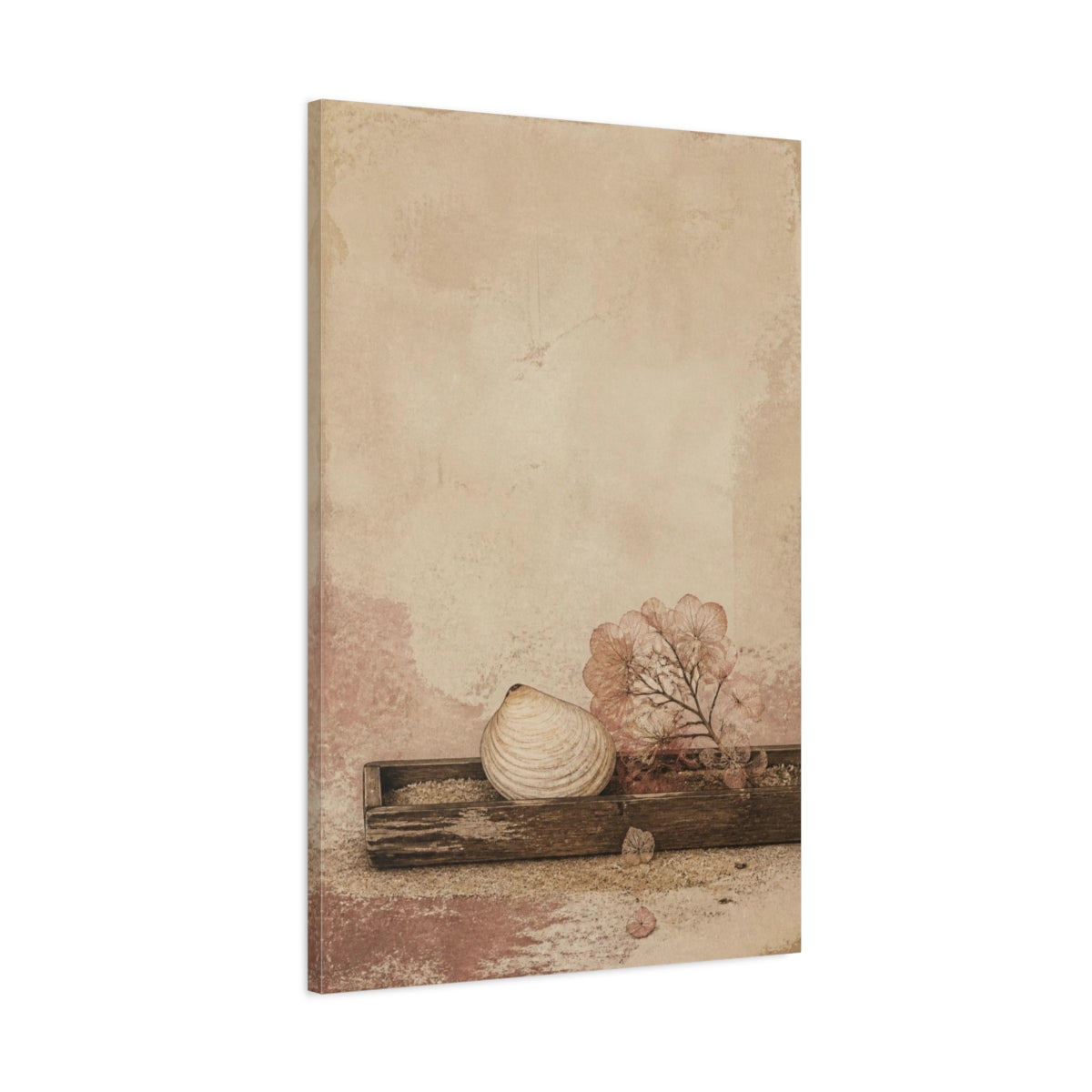 Main Mockup. Seashell Wabi Sabi Still Life shown as canvas print
