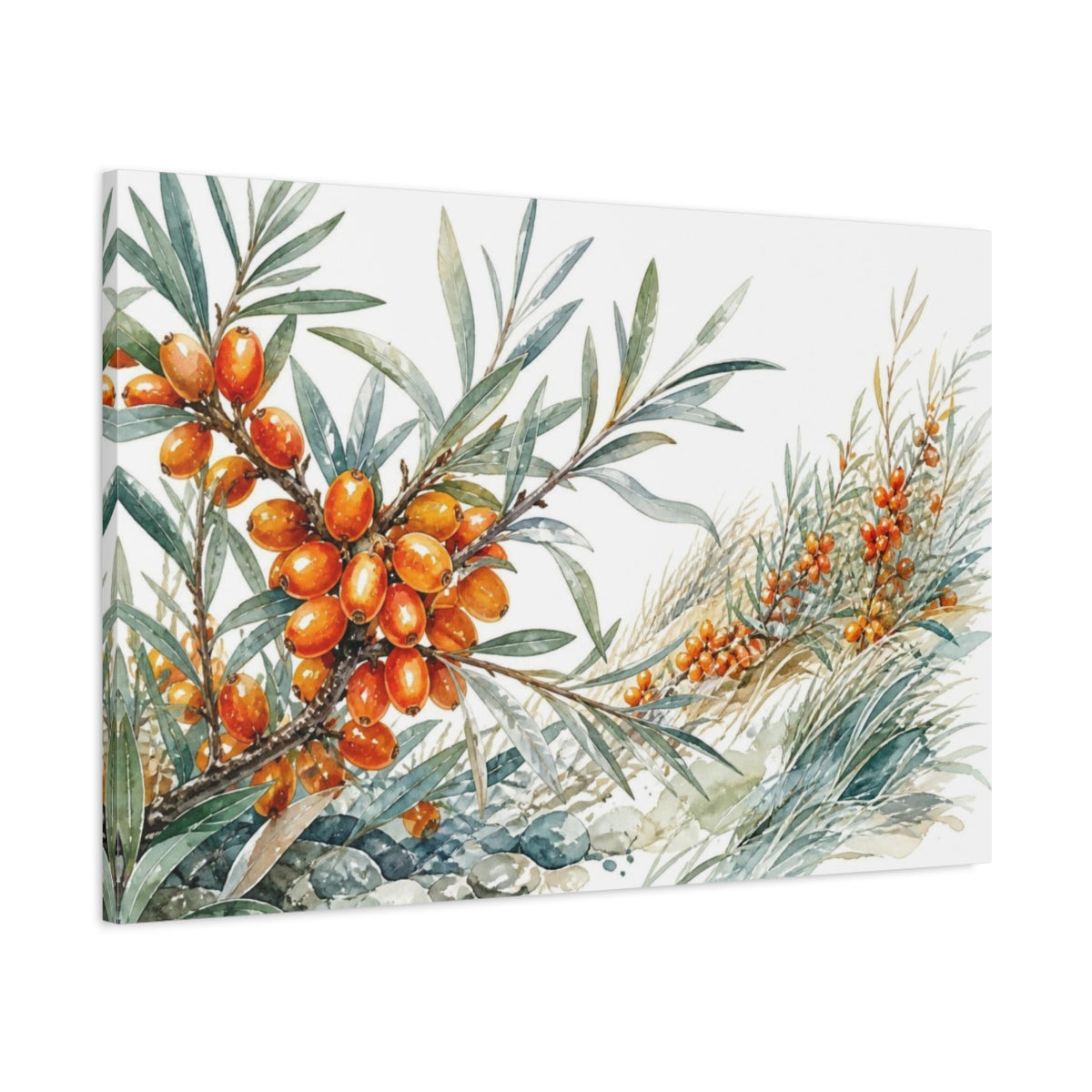 Main Mockup. Silvery Sea Buckthorn Berries shown as canvas print