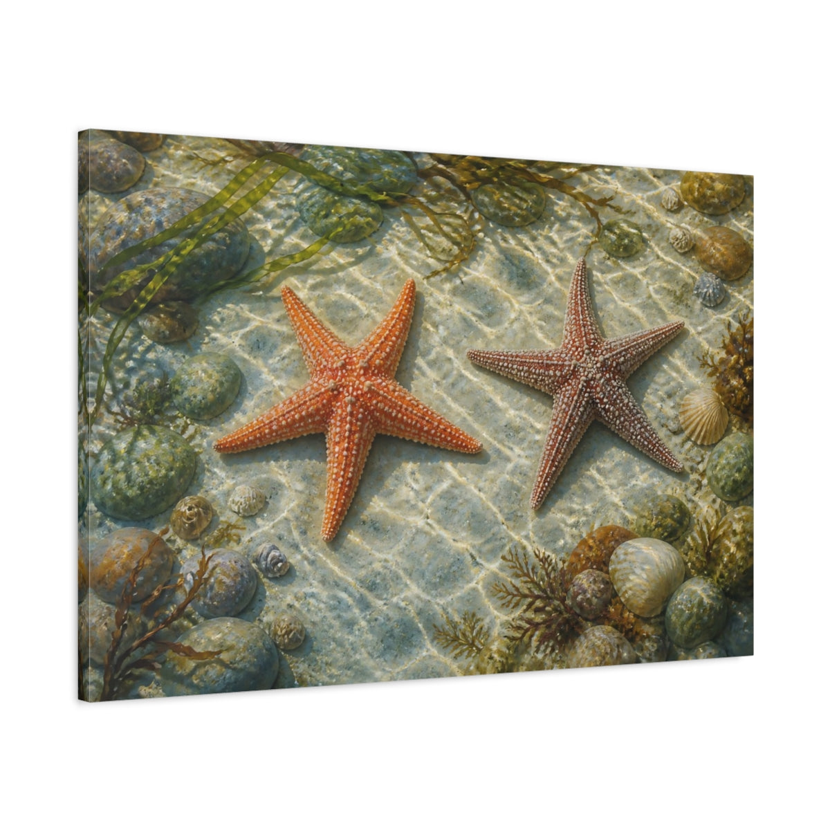 Main Mockup. Starfish Animals At Low Tide shown as canvas print