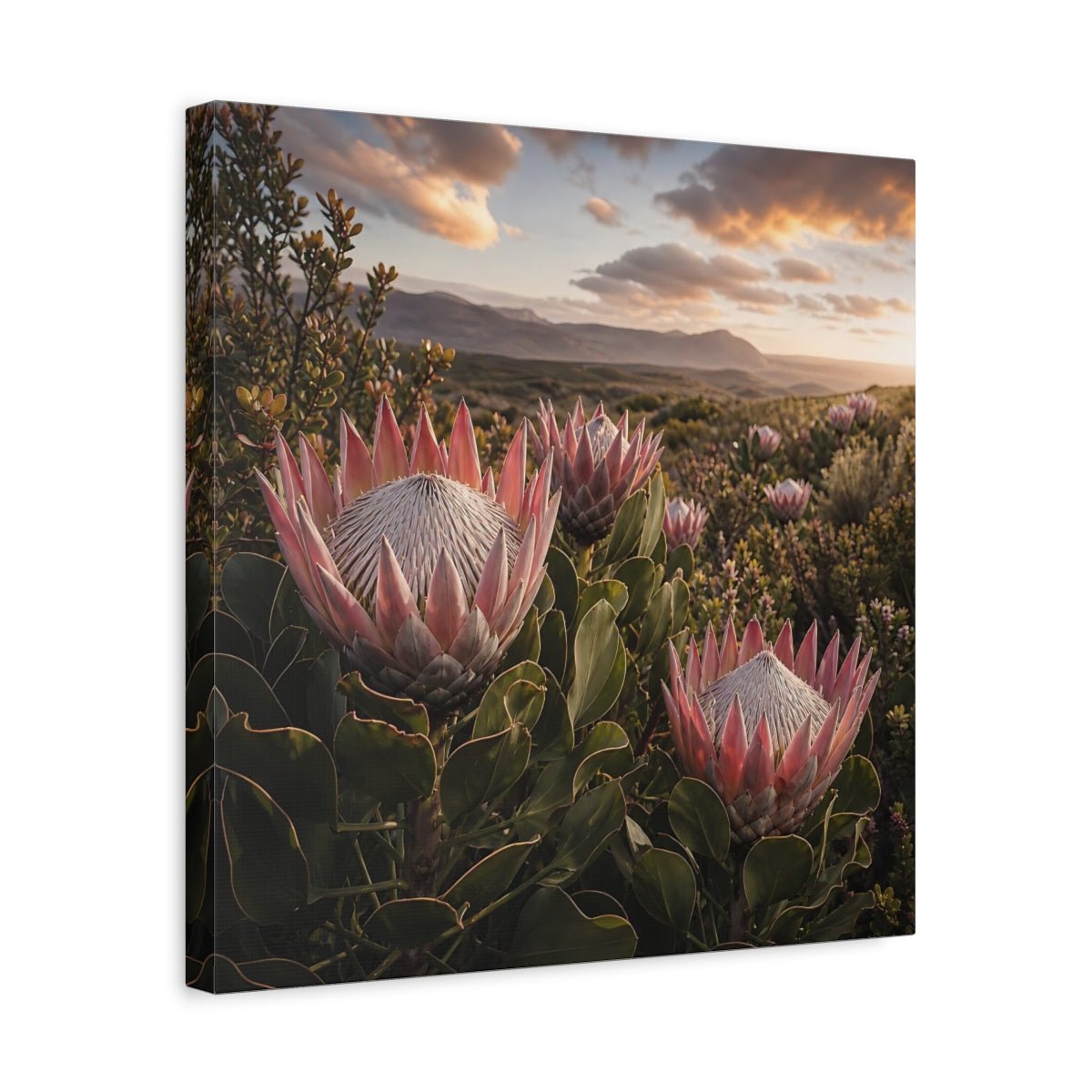 Sunset King Proteas Canvas Print – Living Room, Above Console Table, Pink & Green - YesArtYes