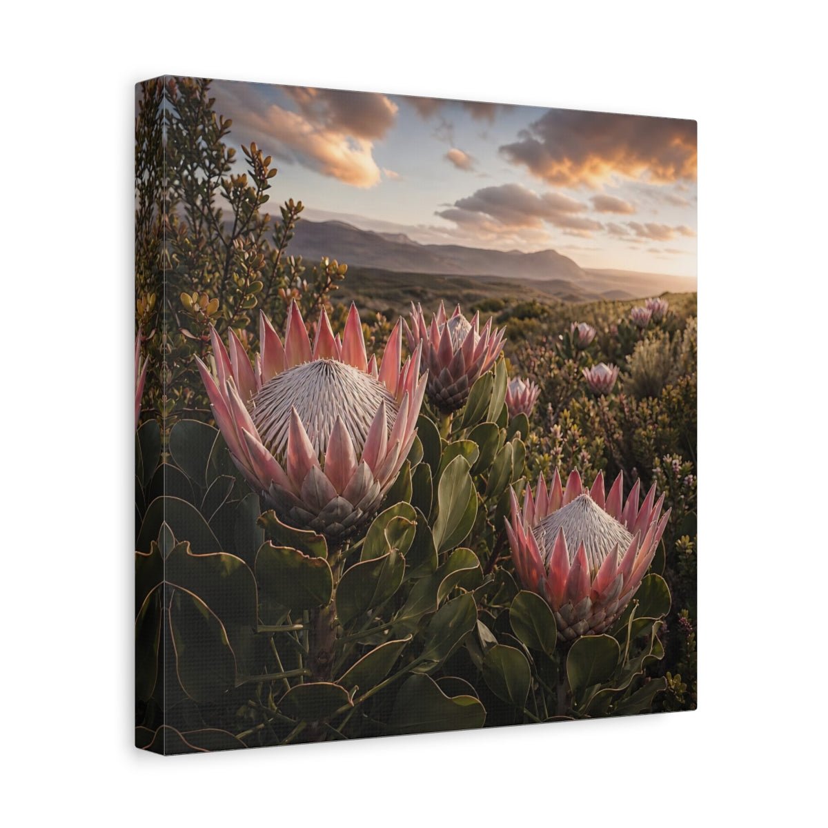 Sunset King Proteas Canvas Print – Living Room, Above Console Table, Pink & Green - YesArtYes